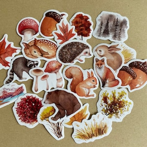 Confezione di adesivi con animali del bosco. 10 set di adesivi per planner foresta autunnale. Orso, cervo, riccio, fungo, foglia. Adesivi per diario