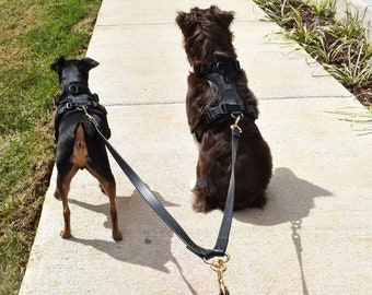 Durable Waterproof and Dirt Resistant Black Double Dog Leash Nylon Modern Soft Touch Coupler Splitter Walking 2 Small Medium Large Dogs