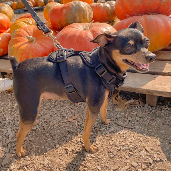 No Pull Cushioned Breathable Dog Harness and Leash Bundle Black Neoprene Design Small Medium Large Soft Padded