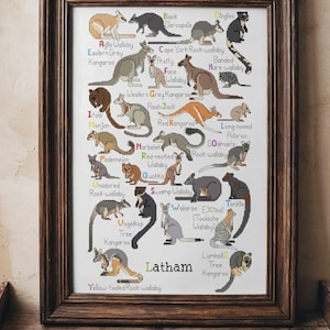 May include: A colorful alphabet chart featuring different types of Australian marsupials, including kangaroos, wallabies, and quollas. Each animal is illustrated with its common name and scientific name.
