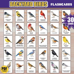 Puede incluir: Tarjetas didácticas con ilustraciones de 30 aves de jardín, incluyendo el Jilguero americano, el Cardenal rojo y la Arrendajo azul. Las tarjetas están etiquetadas con los nombres de las aves y están diseñadas para fines educativos.