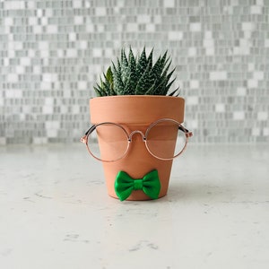 Puede incluir: Una maceta de terracota con una planta suculenta verde, que lleva gafas redondas y una pajarita verde.