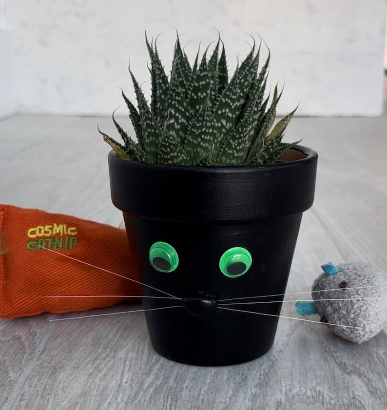 Black Cat Planter Pot Green Eyes With Whiskers For Indoor Houseplants black-cat-planter-pot-green-eyes-with-whiskers-for-indoor-houseplants