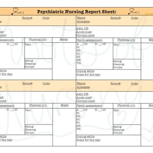 4 Verpleegkundig rapport psychiatrisch patiënt