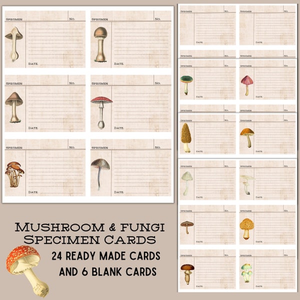 Cartes imprimables de spécimens de champignons et de champignons - 24 cartes de spécimens prêtes à l'emploi et 6 vierges - éphémères pour le journal indésirable de scrapbooking