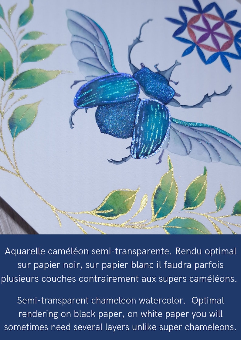 Colibrí Cuarto de acuarela camaleón acuarela artesanal hecha a mano pintura duocroma pintura para colorear adultos imagen 9