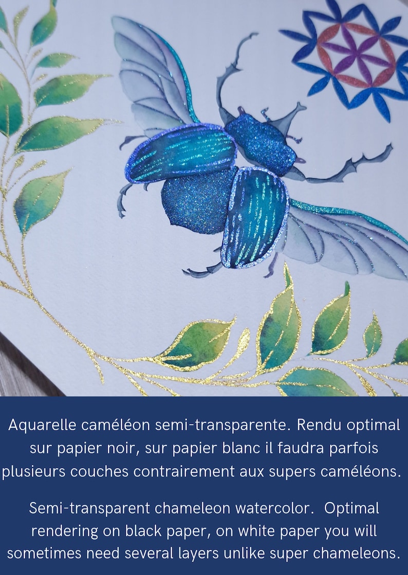 Colibri Quart de godet aquarelle caméléon aquarelle artisanales fabriquée main peinture duochrome peinture pour coloriage adulte image 9