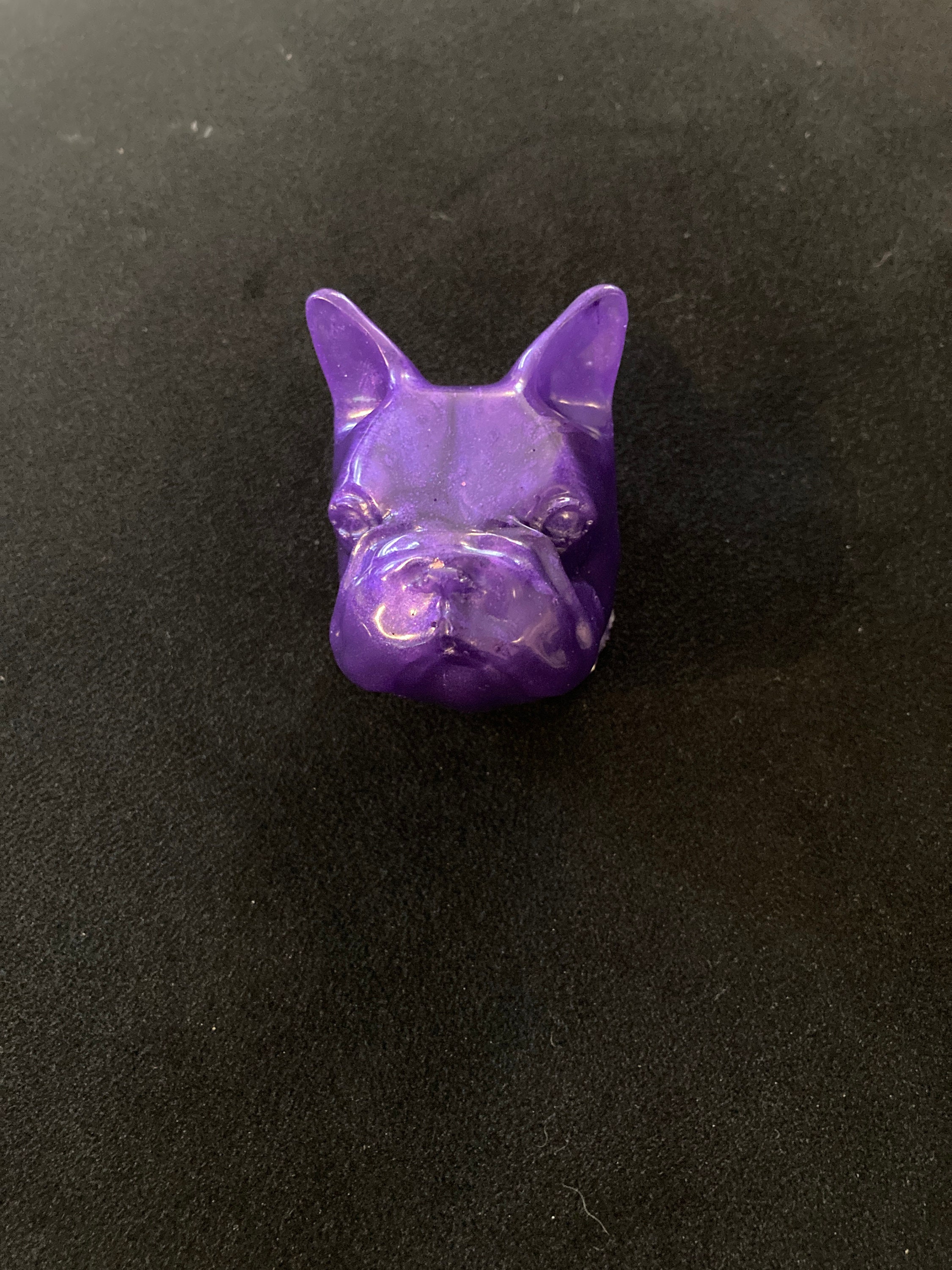 Bulldog Violet