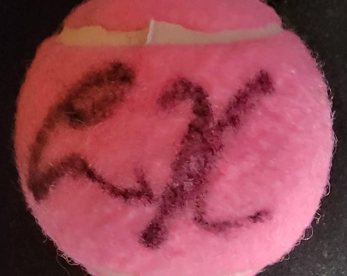 Anna Kournikova Authentic Signed Pink Penn 3 Tennis Ball W/ PSA COA Tennis Great