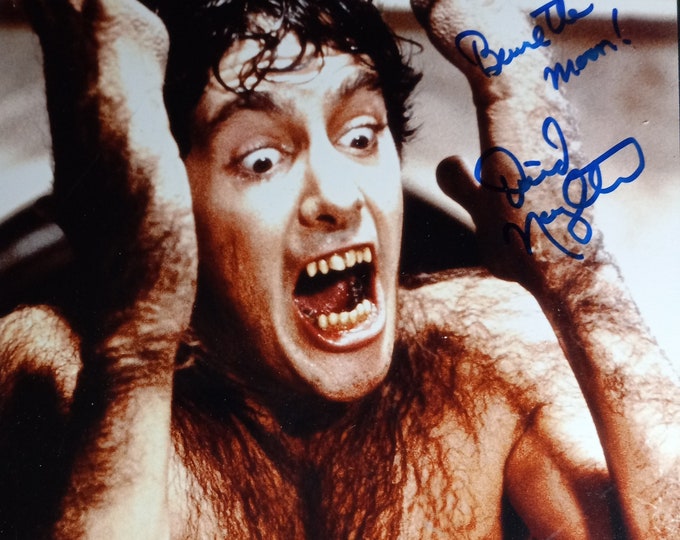 David Naughton Authentic Signed 8x10 Photo W/ Beckett COA - American Werewolf In London - David Kessler