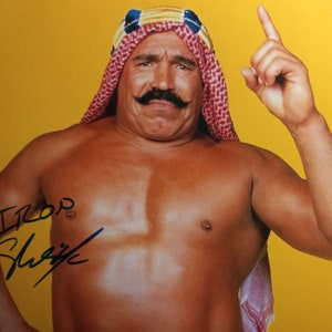 WWE ステイシー・キーブラー 殿堂入り記念グッズ パネル