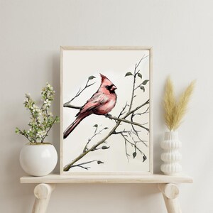 Cardinal 2