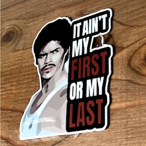 May include: A black and white sticker with a cartoon illustration of a man with a mustache and the text "It ain't my first or my last" in red and white.