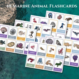 Flashcards de animais marinhos – Cartões de aprendizagem divertidos e educativos com tema oceânico!