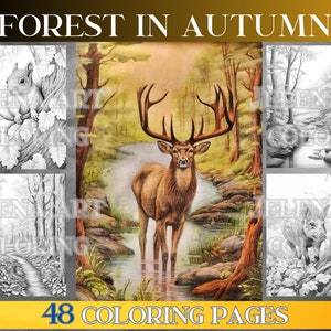 Fall Coloring Book adult  &quot;forest in the fall&quot;. 48 Grayscale coloring pages adult. PDF printable adult fall coloring pages. Instant download