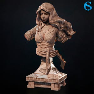 Busto de hechicera con soporte de exhibición / Busto de coleccionista de fantasía / Modelo de resina impreso en 3D / Pieza de exhibición para pintores