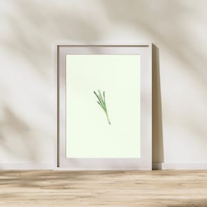 Scally Wag Scallion Print