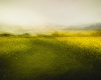 Spring Field - Abstract Photography, Print, Wall Art, Fine Art Print, Forest, Woodland, Picture