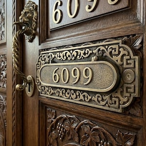 May include: A dark brown carved wooden door featuring intricate grape vine and sunburst patterns. It includes a brass lion-head door handle, a brass mail slot plate, and the house number 6099 displayed in brass numerals above and on the mail slot.