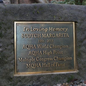 Op de afbeelding: Een bronzen plaquette met de inscriptie "In Loving Memory SCOTCH MARGARITA 1986-2015 AQHA World Champion AQHA High Point Multiple Congress Champion MQHA Hall of Fame"