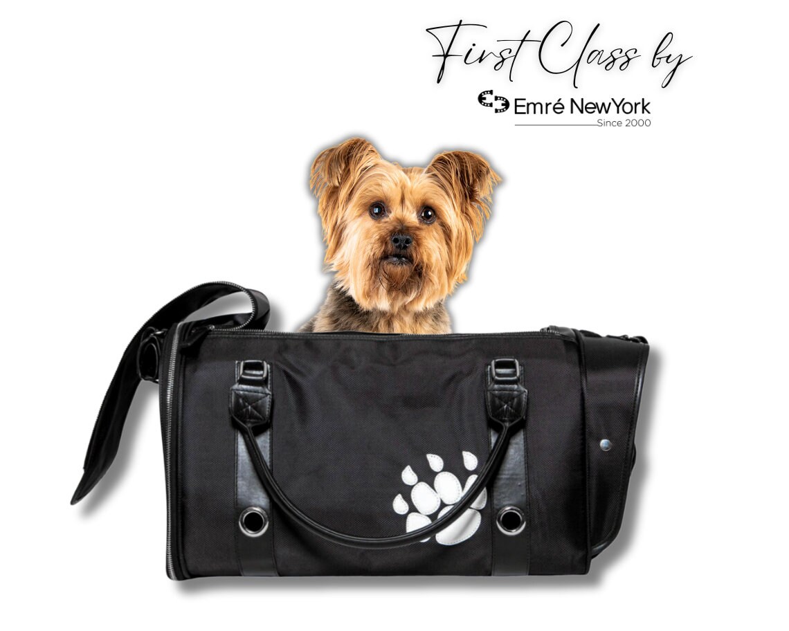 Tailfour pet carrier cheap