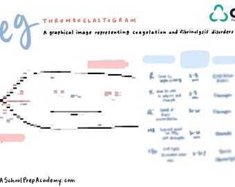 TEG (Thromboelastogram) Infographic On Coagulation & Fibrinolysis Disorders