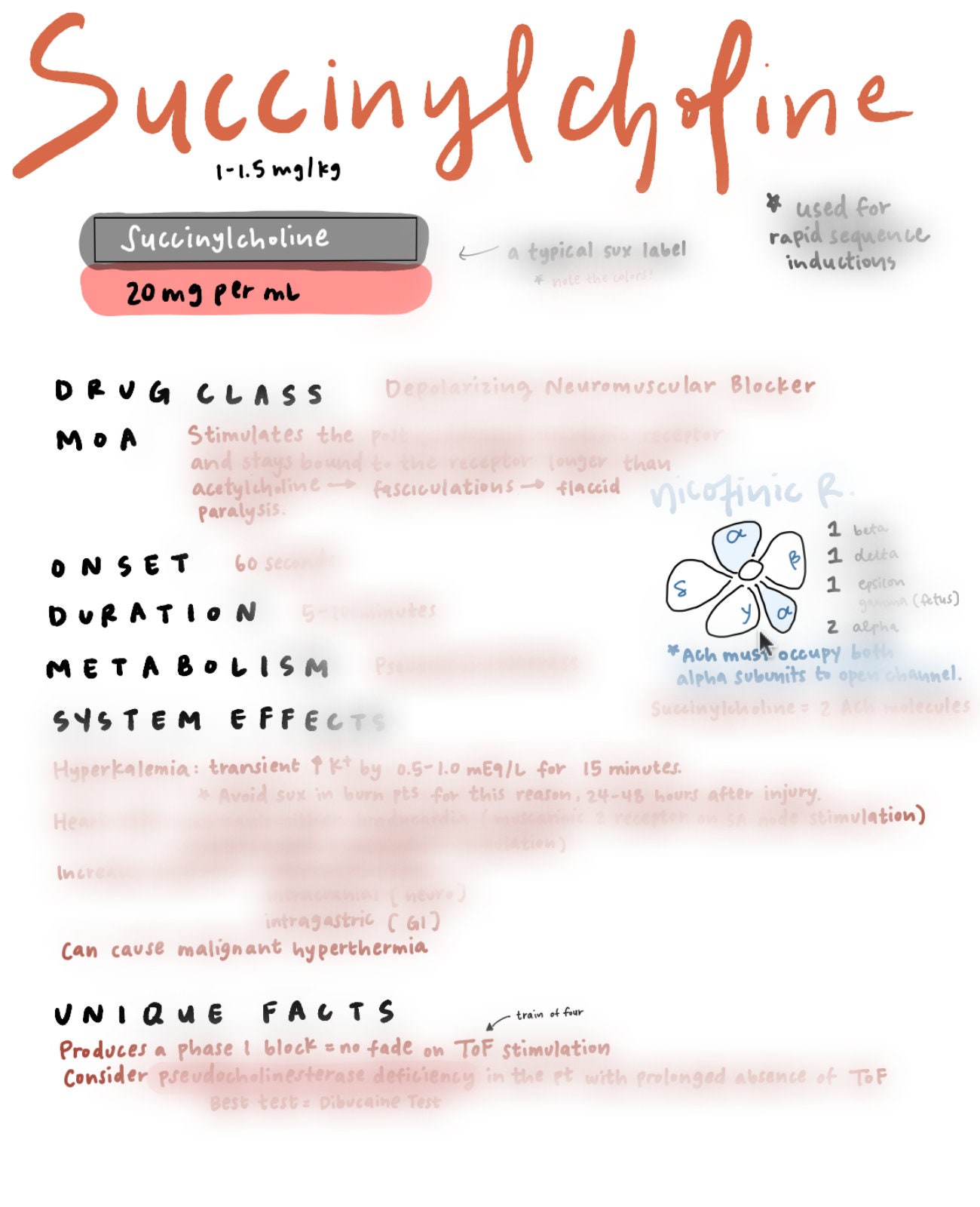 Anesthesia Induction Drugs Reference & Study Guide Etsy