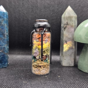 May include: A small glass bottle filled with various herbs, crystals, and dried flowers. The bottle is sealed with black wax and has a cork stopper. The bottle is surrounded by three crystals.