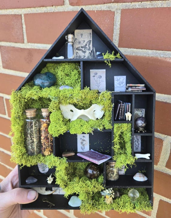 Mossy Oddity House Shelf | Handmade Cabinet of Curiosities | Gothic Miniature Display | Witchy Curio Decor | Dark Cottag