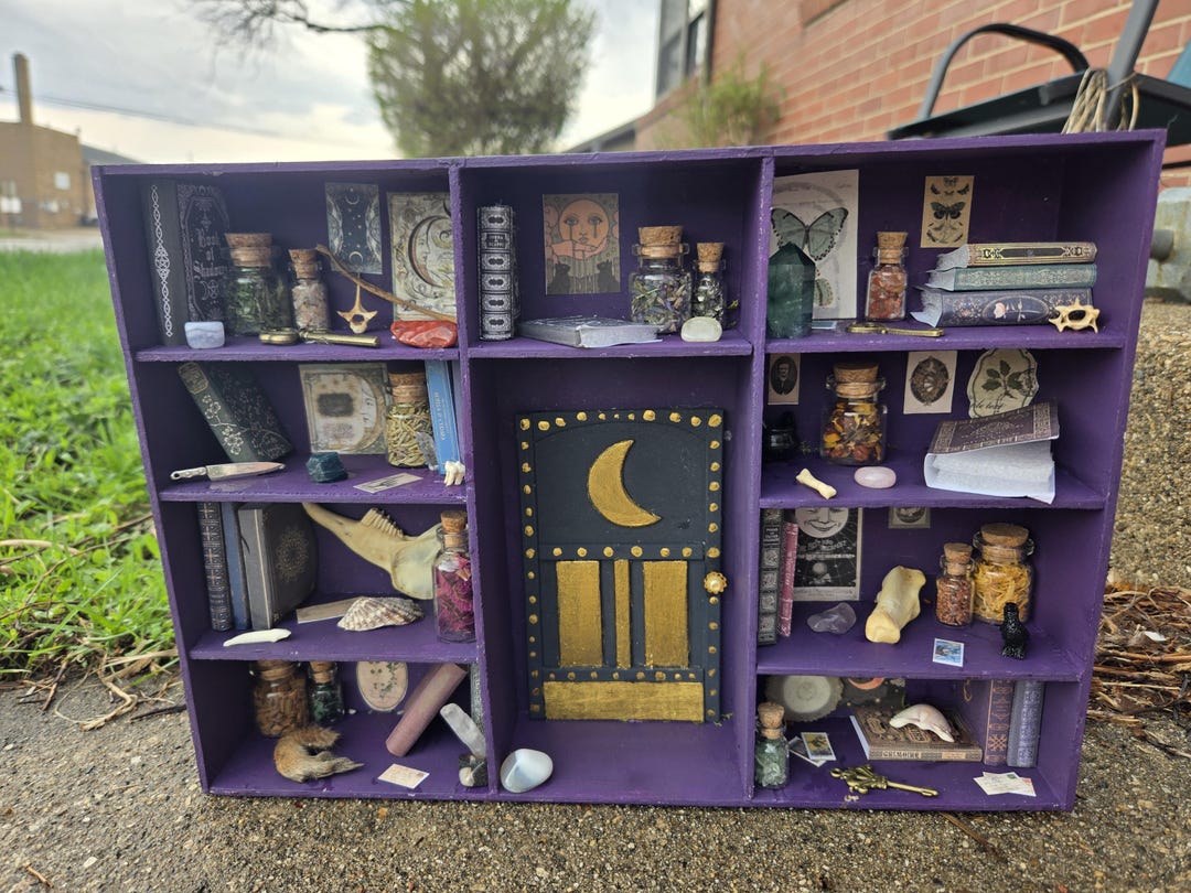 Curated Curio Shadow Box - Large Hand-cut Purple Oddities Shelf ...