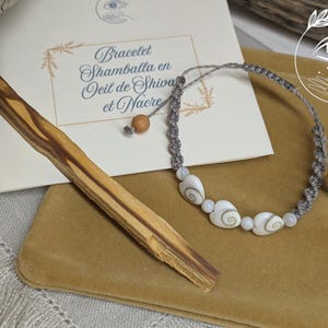 Bracelet en coquillages d'oeil de Shiva | Bracelet réglable en oeil de Sainte Lucie