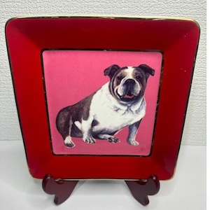 Decorative Bull Dog Red Plate