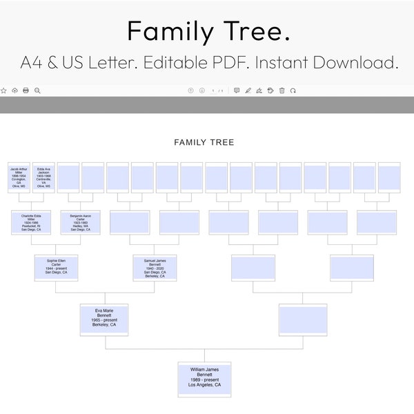 Family Tree Chart, Download Pedigree Chart, Ancestral Chart, Family History, Genealogy Template, A4, Letter