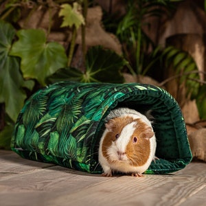 The guinea pig comes out of the tunnel. The tunnel is a toy for guinea pigs. The tunnel is in green and matches the rest of the guinea pig accessories in this collection.
