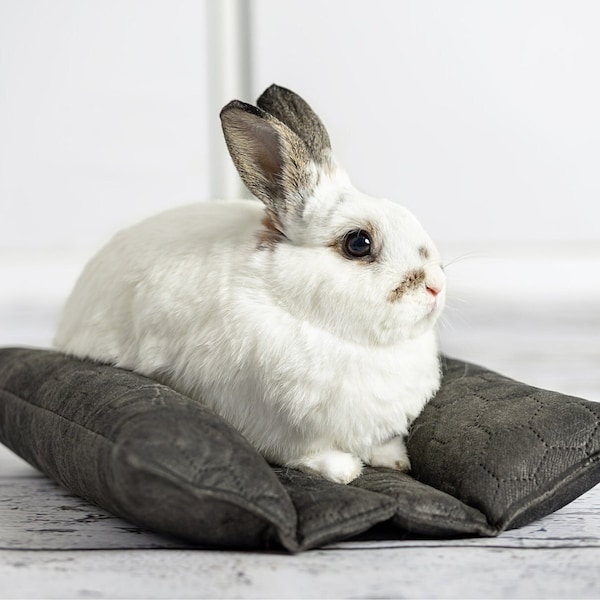 Kuscheliges Hasenbett, süßes Hasenbett, Kopfkissen für Kaninchen und Frettchen - leicht zu reinigendes Material