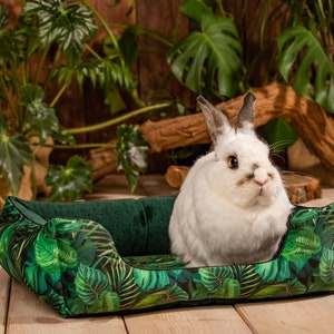 Peut inclure: Un lapin blanc avec des marques brunes est assis dans un lit pour animaux de compagnie vert et noir avec un motif de feuilles tropicales. Le lit est sur un sol en bois.