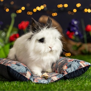 Lit douillet lapin, joli lit lapin, oreiller pour lapins et furets - lit flop