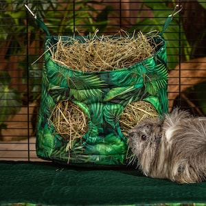 May include: A green and white patterned hay feeder hangs in a cage with a gray and white guinea pig standing in front of it. The feeder has two openings for the guinea pig to access the hay.