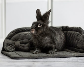 May include: A black rabbit sits in a grey, quilted pet bed. The bed has a pillow in the shape of a bow.