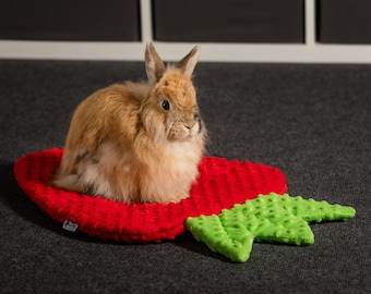 Strawberry cuddle bed / snugle bed for rabbit, guinea pigs, rat, chinchillas MINKY