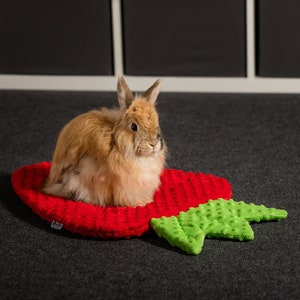 May include: A fluffy brown rabbit sits on a red and green plush strawberry-shaped pet bed.