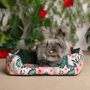 Peut inclure: Un lapin angora gris est assis dans un lit pour animal de compagnie floral rose et vert. Le lit est doublé de velours vert foncé.