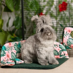 Peut inclure: Un lapin gris et duveteux est assis dans un lit floral vert et rose. Le lit a une bordure verte et un motif floral rose. Le lapin regarde la caméra.