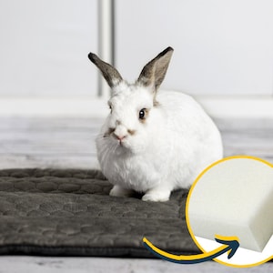May include: A white rabbit sits on a grey quilted pet bed with a white foam pad underneath. The foam pad is highlighted in a circle with an arrow pointing to it.