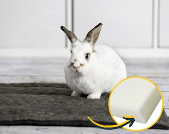 Cage mat - upholstery sponge for rabbits, guinea pigs, hedgehog, rat, chinchillas, rabbit cage mat  -  many sizes, potty pad, pee pad