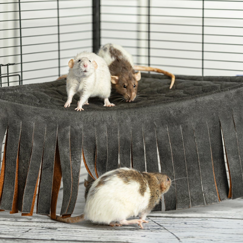 Hamak For Rats Rat Accessories - Etsy