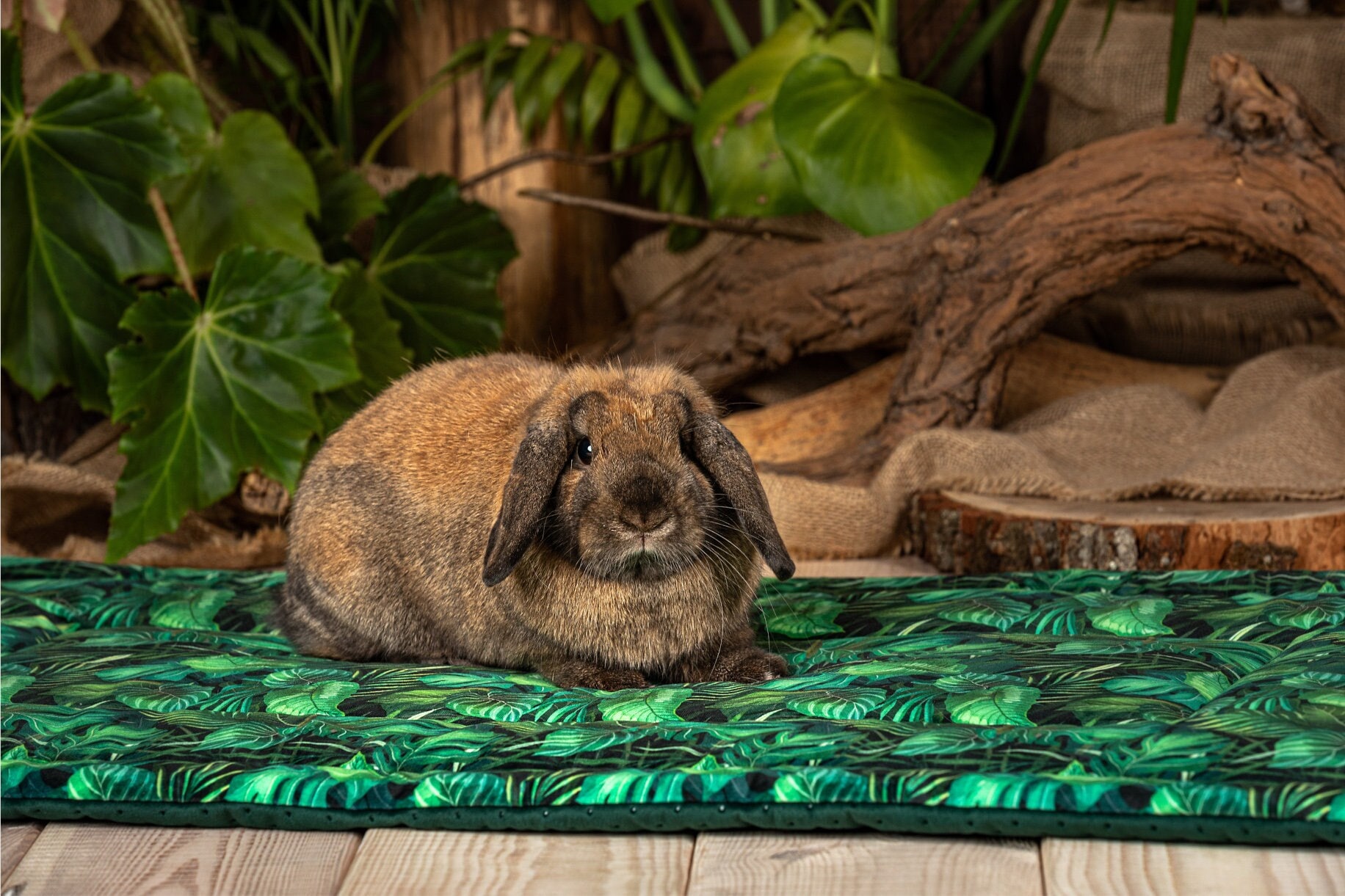 Cage Liner mat for guinea pigs, hedgehog, rat, chinchillas, rabbits rabbit cage mat  -  many sizes