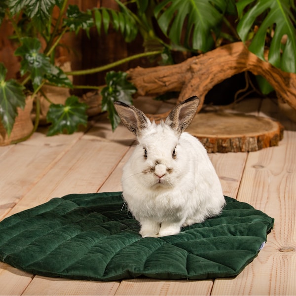 Leaf pillow for rabbit, guinea pig, ferrets and other small animals