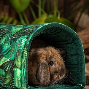 A rabbit sits in a tunnel. He is probably hiding in the tunnel or resting. The tunnel is in green and matches other bunny accessories from our pet accessories shop.