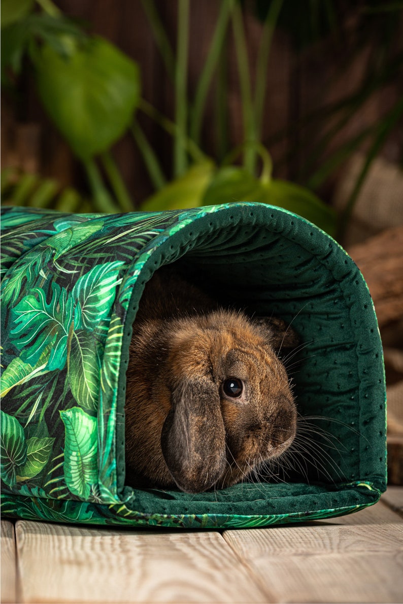 A rabbit sits in a tunnel. He is probably hiding in the tunnel or resting. The tunnel is in green and matches other bunny accessories from our pet accessories shop.